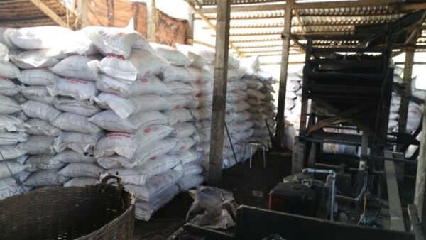Coconut Natural shell charcoal